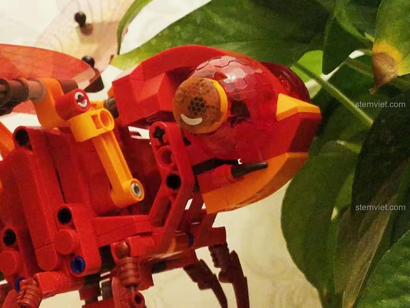 Cận cảnh phần đầu và mắt của mô hình Chuồn Đỏ Cơ Khí Sembo 703300, chi tiết tinh xảo và sống động.