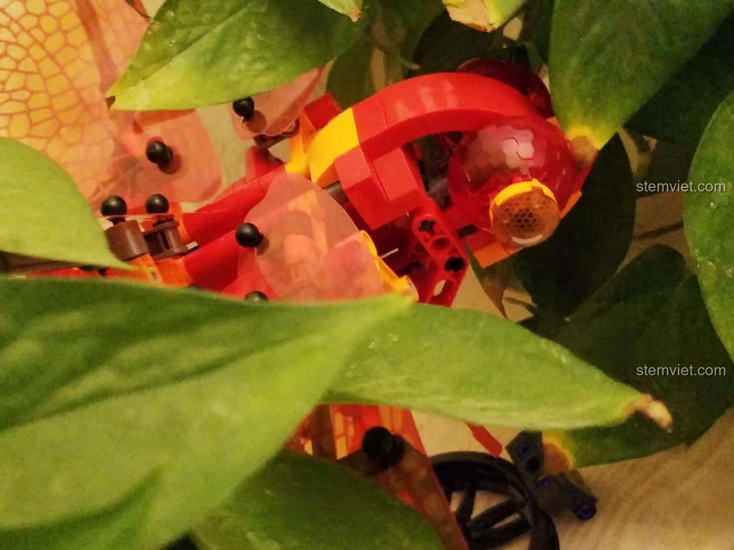 Mô hình Chuồn Đỏ Cơ Khí Sembo 703300 với góc nhìn độc đáo khi trưng bày trong cây, thể hiện sự linh hoạt.