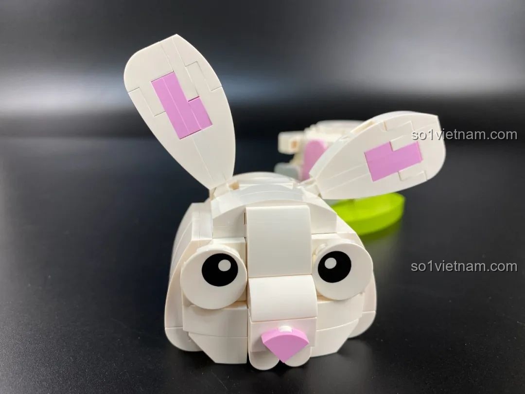 Mô hình Thỏ Ngọc đã hoàn thiện, cùng các bộ sưu tập