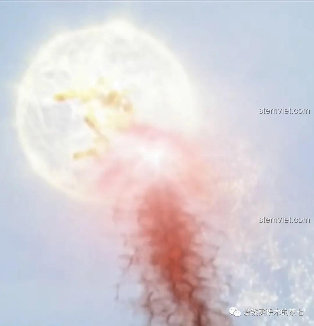 Trang hướng dẫn lắp ráp phi thuyền GUYS G-Loader trong sách hướng dẫn của SEMBO, chỉ ra lỗi sai ở phần đuôi.