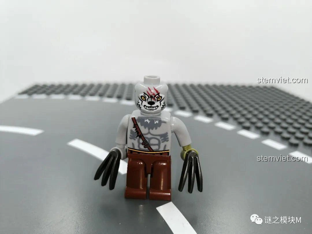 Mặt sau của minifigure Người Sói không có mặt nạ, thể hiện chi tiết cơ thể và vết sẹo của bộ SEMBO 605022.