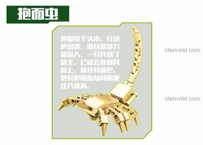 Mô hình ký sinh Facehugger đi kèm trong bộ lắp ghép Facehugger Sluban M38-B0720B.
