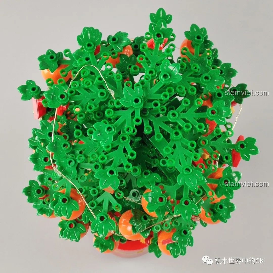 So sánh mô hình cây quất SEMBO 601145 với cây cảnh thật, thể hiện kích thước và độ chân thực. Review SEMBO 601145 Quà tặng Tết Nguyên Đán.