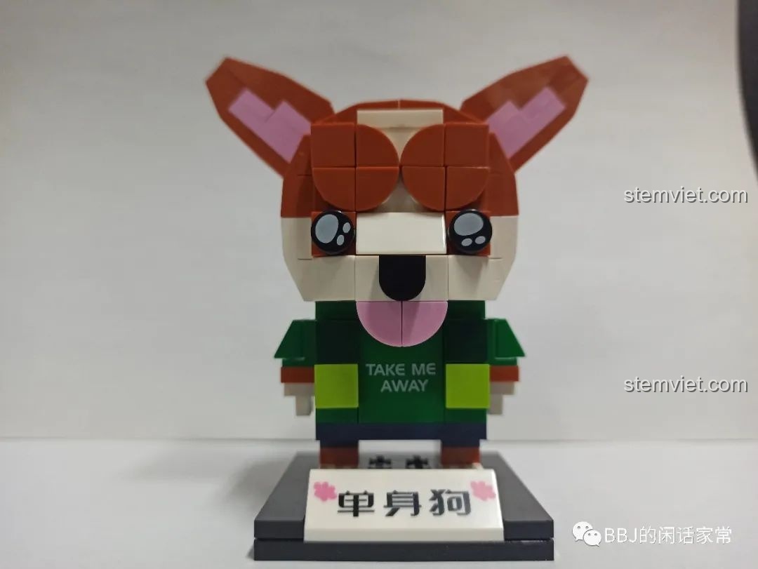 Review GUDI 53003 Mô hình Chó Corgi Độc Thân đã lắp ráp hoàn chỉnh, nhìn thẳng với đôi mắt long lanh và áo xanh.