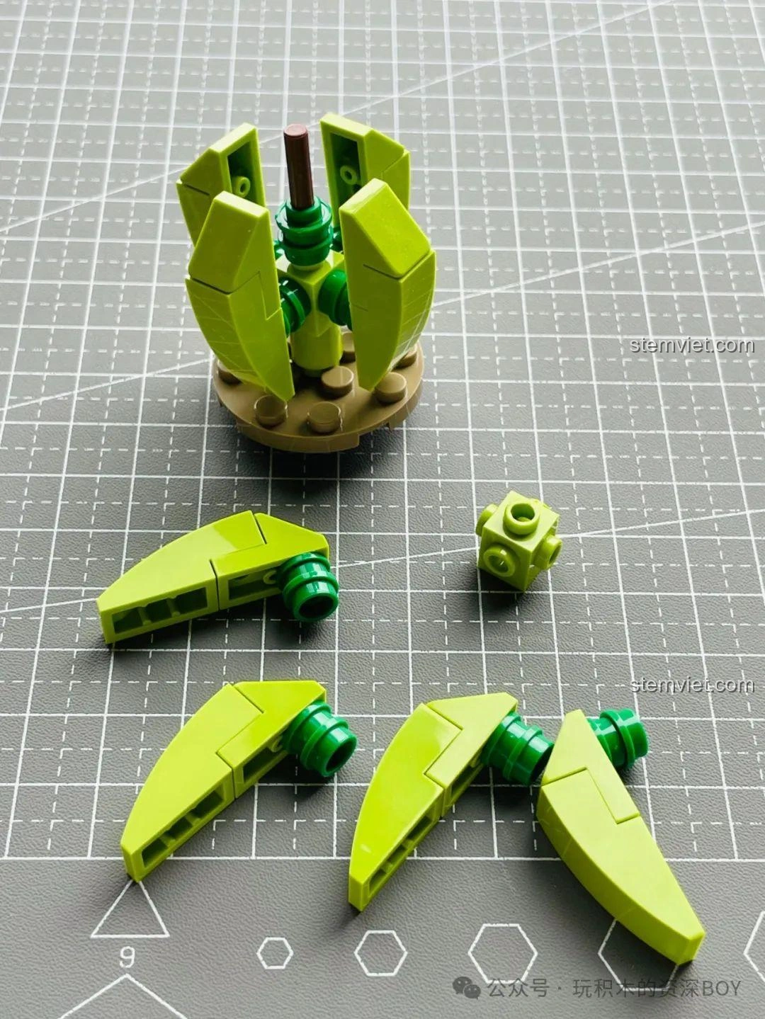 Các mảnh lá và chi tiết phụ của cây xương rồng JAKI JK2727, chuẩn bị cho lớp bao bọc thứ hai.