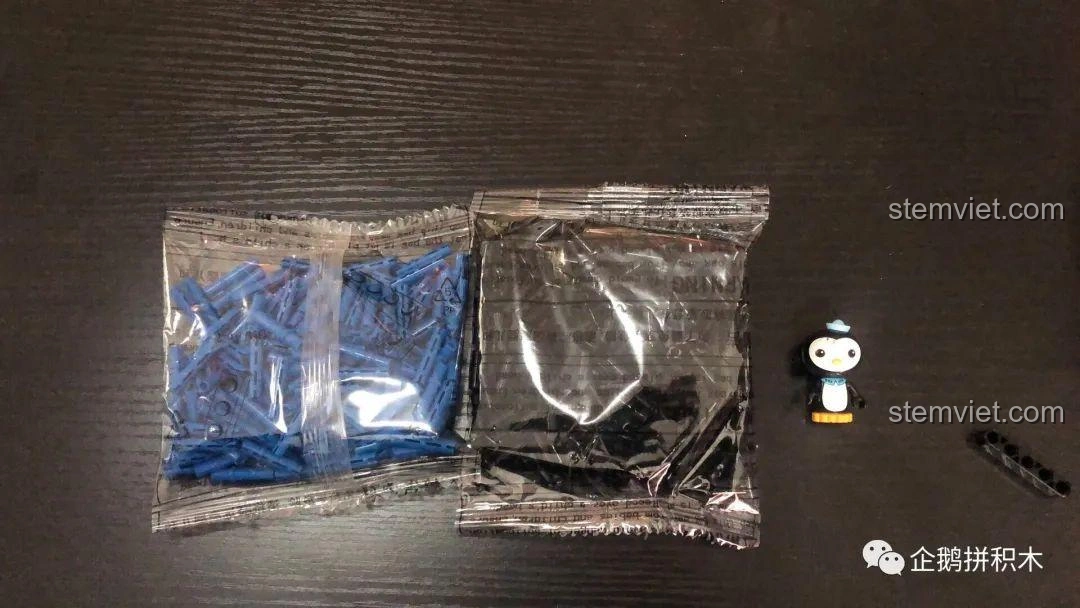 Hai túi đựng chốt (pin) riêng biệt của bộ lắp ráp Mould King 13117 F1 Xe Đua, tiện lợi cho việc lắp ráp.