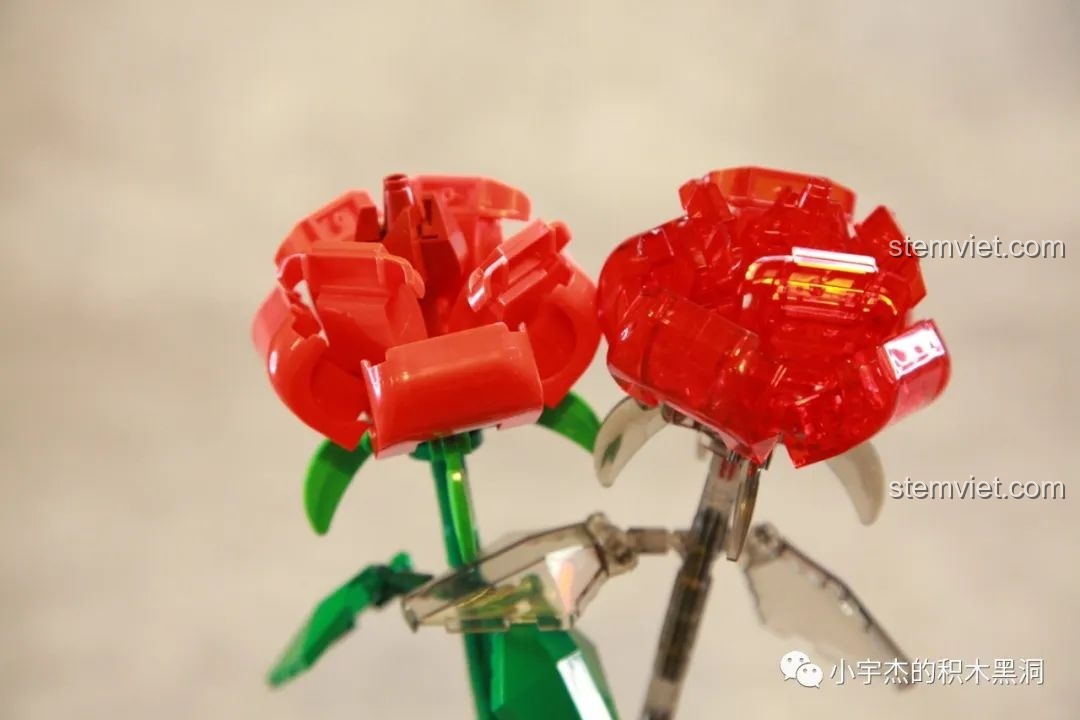 Góc nhìn cận cảnh vẻ đẹp của hai bông hoa hồng lắp ráp SEMBO 601268, thể hiện sự tinh xảo trong thiết kế.