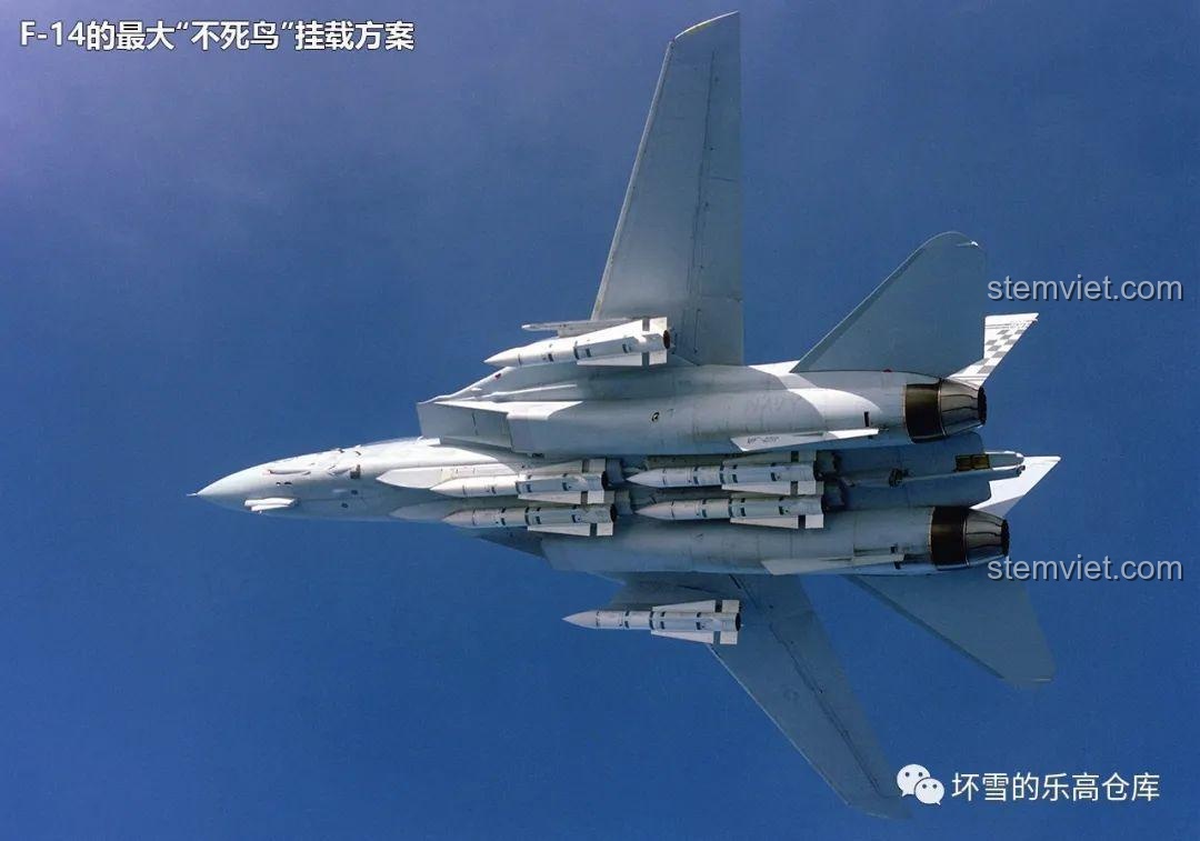 Vũ khí đi kèm bộ lắp ráp F-14 Tomcat
