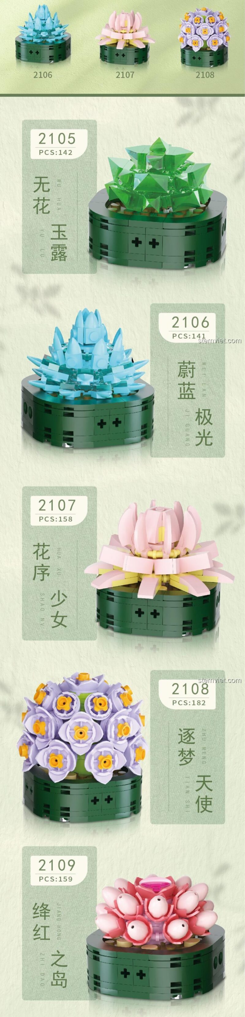 Chi tiết 4 mẫu sen đá đầu tiên trong bộ sưu tập sen đá 8 trong 1 2114: Sen Đá Ngọc Sương, Lam Quang, Thiếu Nữ và Thiên Thần Mộng Mơ.