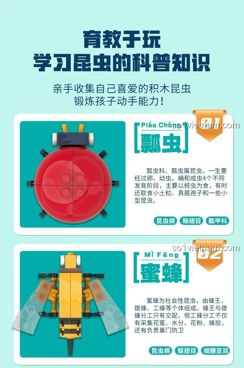 Bộ Lắp Ghép Mô Hình Côn Trùng WISE BLOCK HA389311 - Hướng dẫn lắp ráp Ong