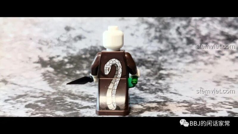 Ảnh chụp phía sau của minifigure Yakushi Kabuto WM2109, với hình con rắn trên áo choàng.