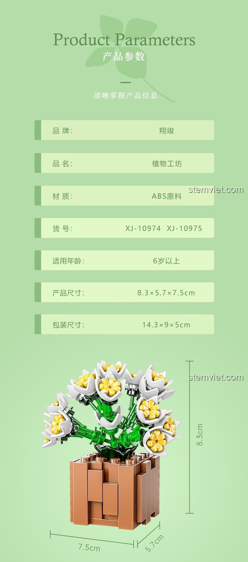 Các mẫu cây cảnh hoa đá Xiang Jun 10974 đa dạng phong cách để lựa chọn