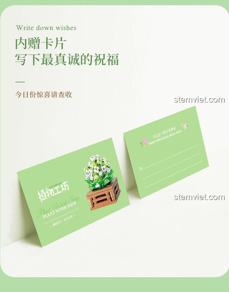 Các mẫu cây cảnh hoa đá Xiang Jun 10974 đa dạng phong cách để lựa chọn