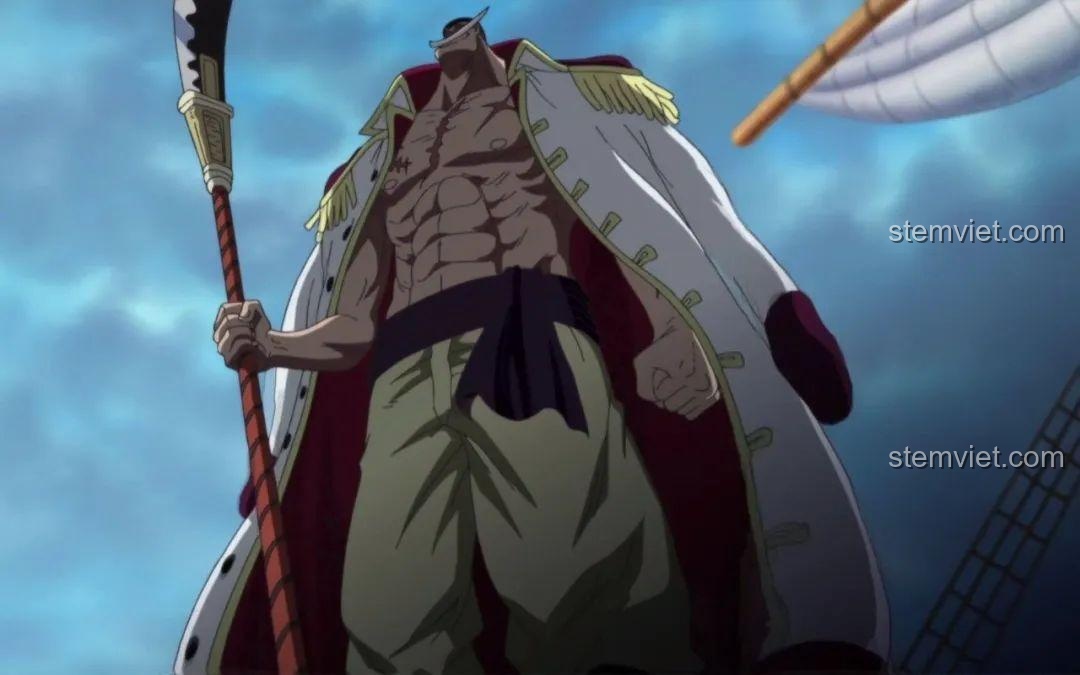 Bộ 8 Nhân Vật One Piece XINH X0353 - Hình ảnh minh họa Monkey D Garp