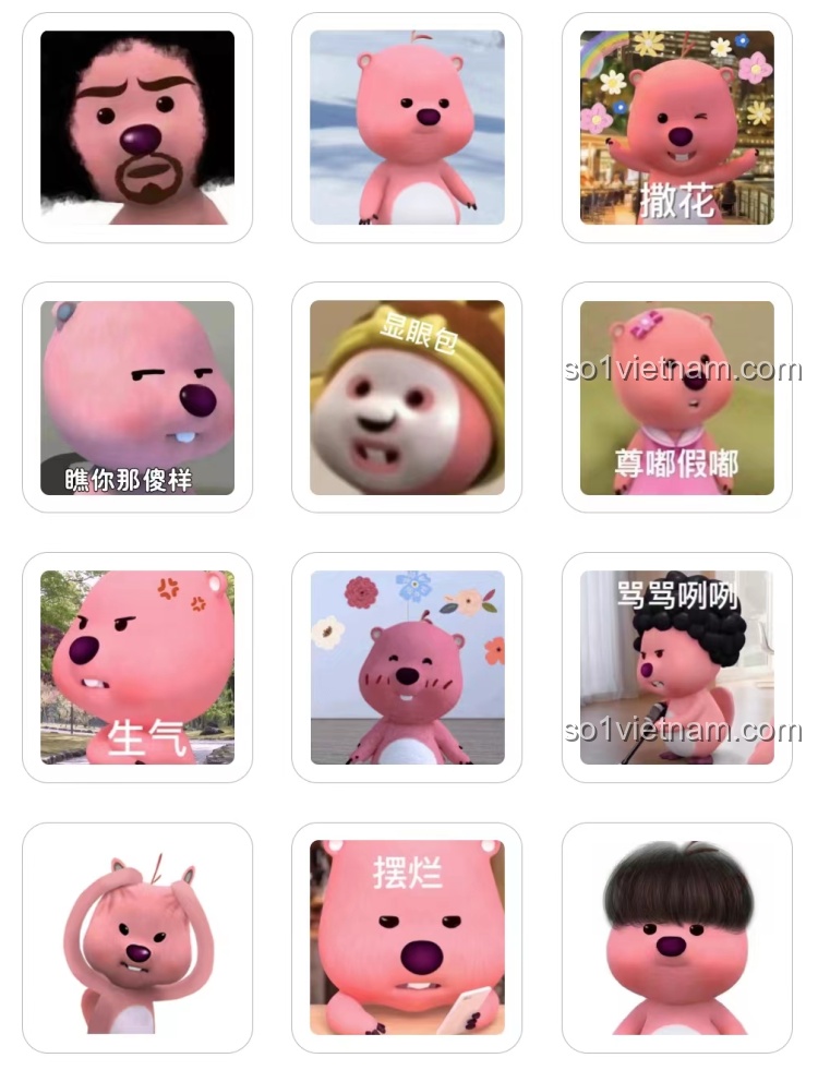 Tổng hợp các biểu cảm meme hài hước của nhân vật hải ly màu hồng Zanmang Loopy, thần tượng của nhiều bé gái.