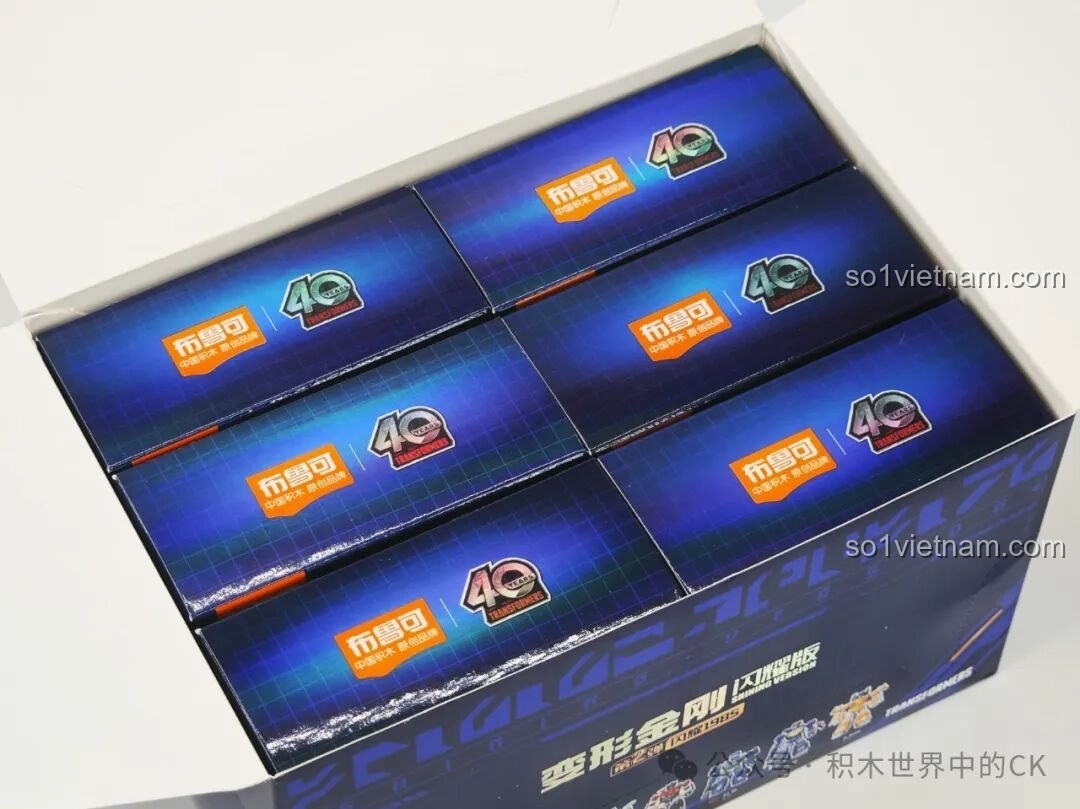 Bên trong hộp lớn Blokees 71122 là 6 hộp nhỏ được xếp ngay ngắn, mỗi hộp chứa một nhân vật bí mật.