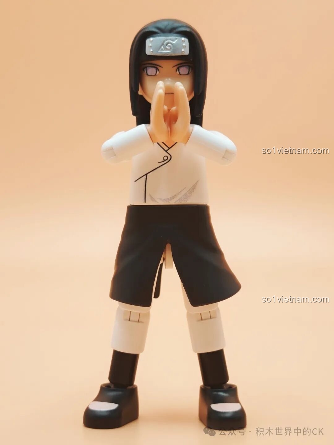 Toàn bộ các nhân vật đã lắp ráp từ bộ BLOKEES 71061