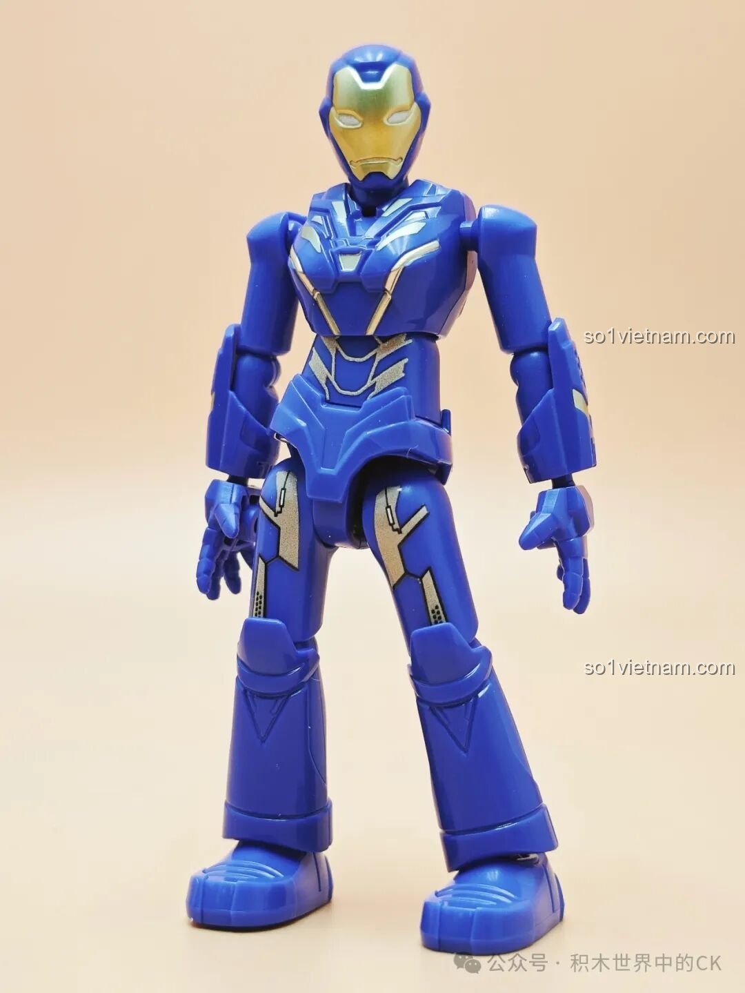 Phụ kiện của Black Panther trong bộ lắp ráp Marvel Avengers Assemble