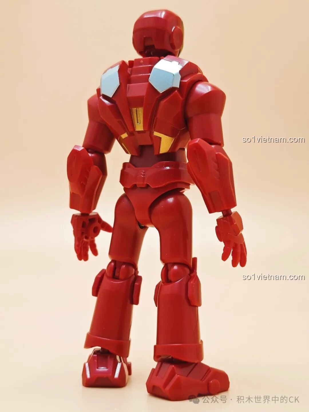 Mô hình Thanos nhìn từ phía sau