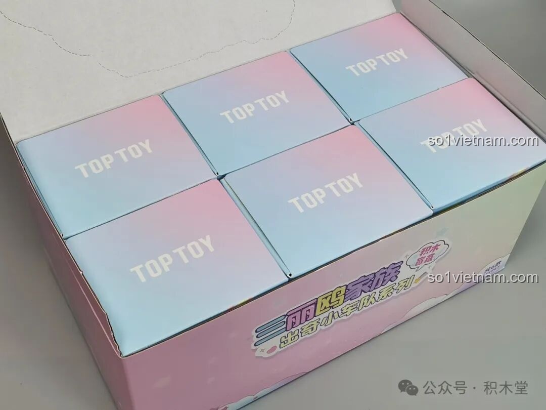 Bên trong hộp lớn là 6 hộp nhỏ blind box của Bộ Lắp Ghép Sanrio Characters TC1724 TOP TOY.