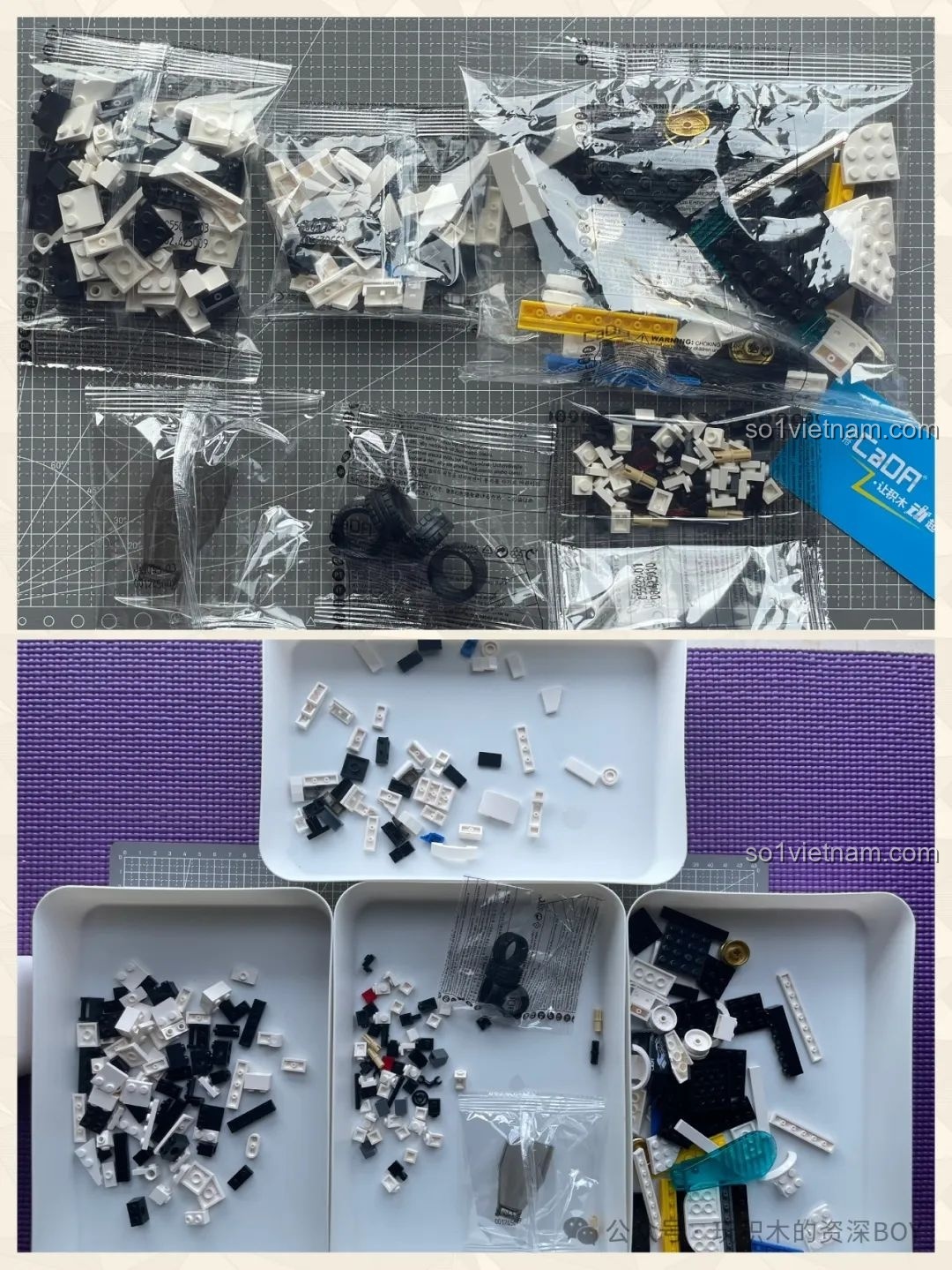 Các túi mảnh ghép nhựa ABS cao cấp của bộ lắp ghép CaDA C55029 Mazda 787B được phân loại gọn gàng.