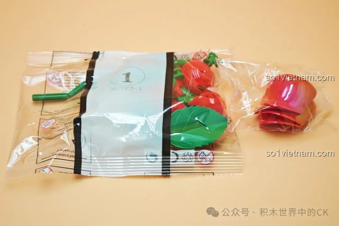 Các mảnh ghép mini block của bộ lắp ghép hoa hồng ZHEGAO