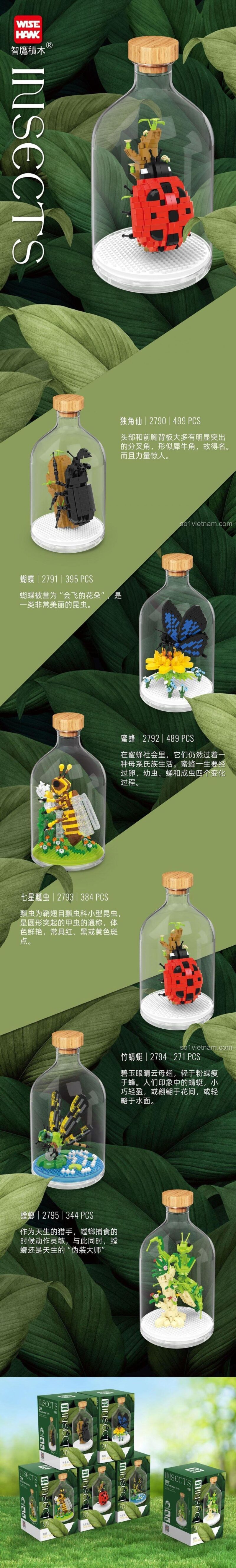 Các mẫu lắp ghép côn trùng WISE HAWK series, bao gồm bọ rùa, bướm, ong, bọ hung