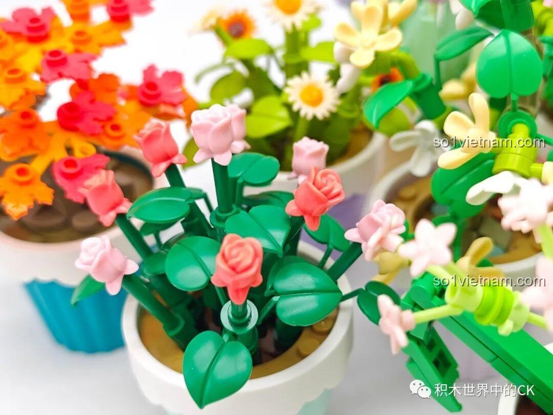 Ảnh chụp cận cảnh chậu hoa hồng lắp ráp Sembo, cho thấy hình dáng của những nụ hồng nhỏ và lá cây xanh đậm.