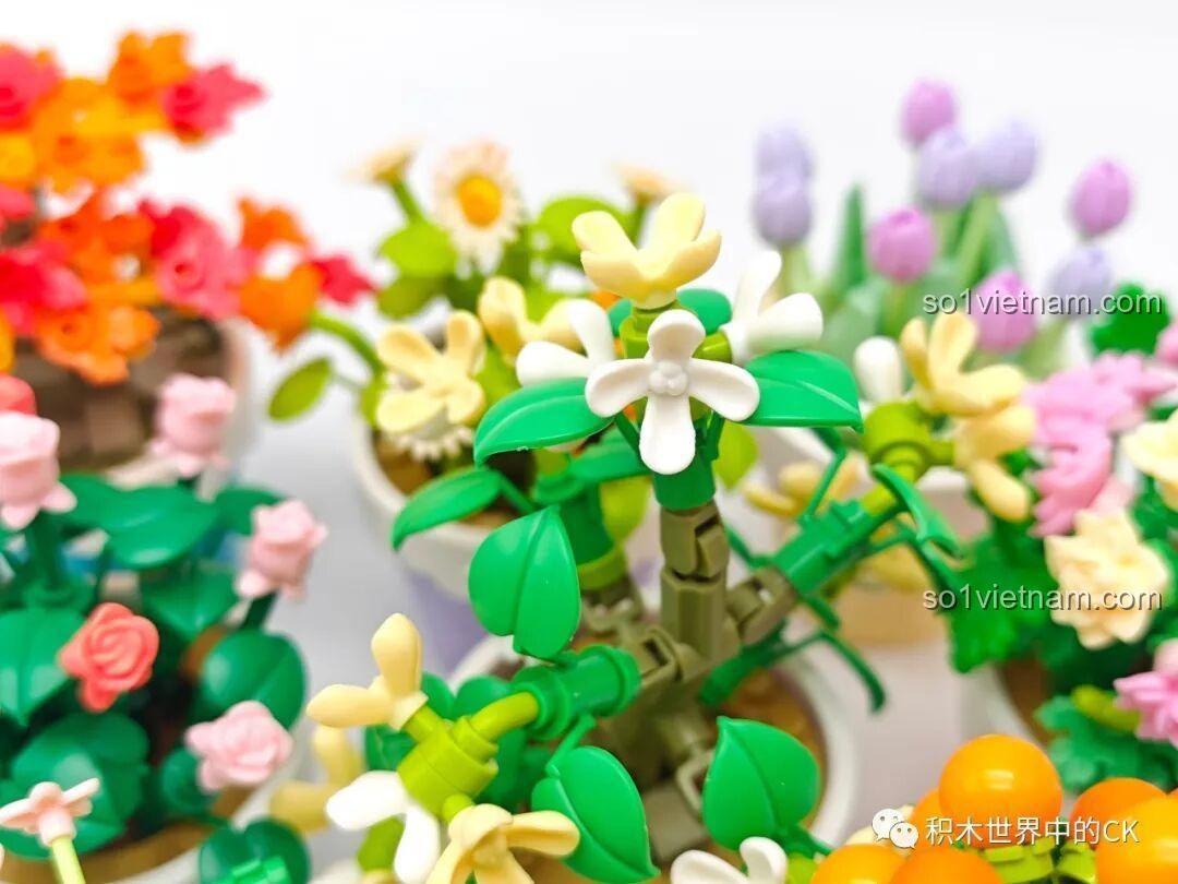 Ảnh chụp macro chậu hoa mộc lắp ráp Sembo, làm nổi bật vẻ đẹp tinh khôi của những bông hoa trắng và vàng kem.