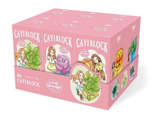 Hộp bộ đồ chơi CAYI 13002 Chậu cây mọng nước Little Gardener