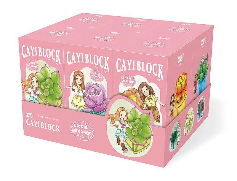 Hộp sản phẩm bộ lắp ghép CAYI 13006 Chậu Cây Mọng Nước