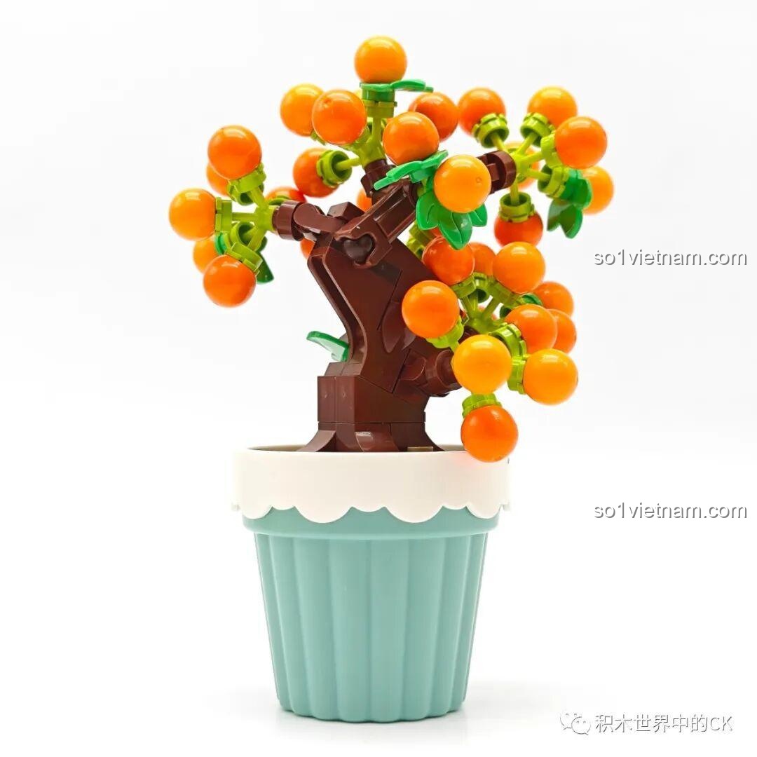 Mô hình chậu cây quả mọng lắp ghép Sembo 611062 đã hoàn thành, cành cây trĩu quả màu cam bắt mắt.