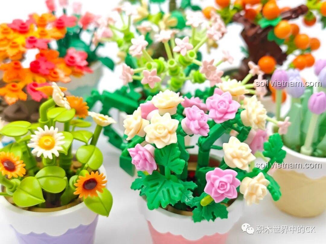 Ảnh chụp cận cảnh nhiều mẫu trong bộ sưu tập hoa mini Sembo, cho thấy chi tiết và màu sắc sống động của các bông hoa.