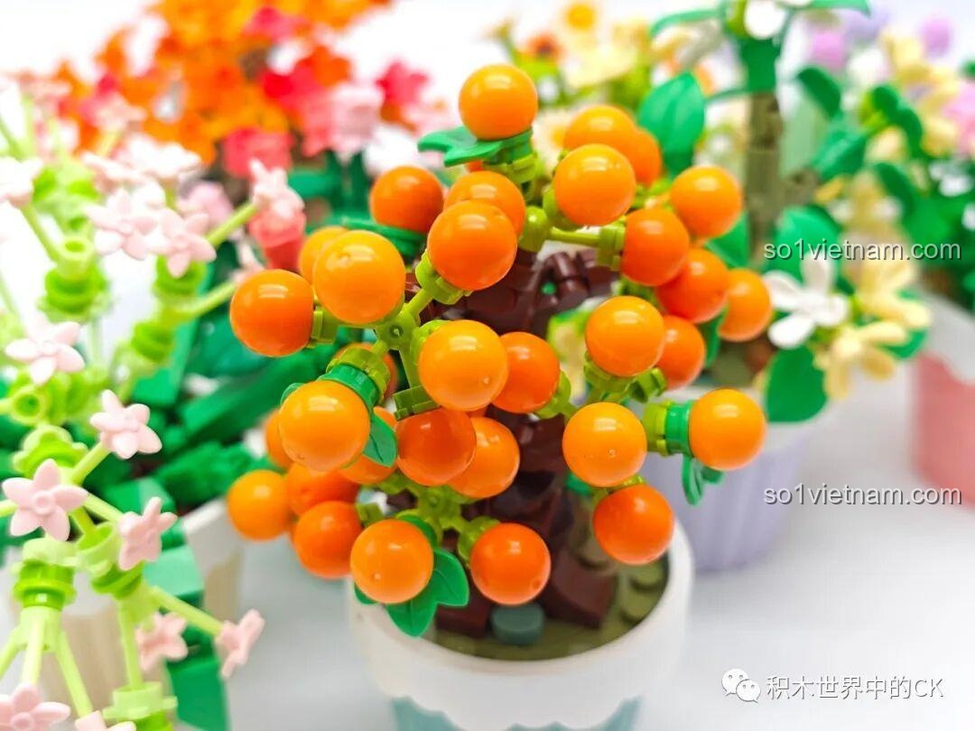 Ảnh chụp chi tiết cận cảnh những quả cam nhỏ trên mô hình cây sung túc lắp ráp Sembo.