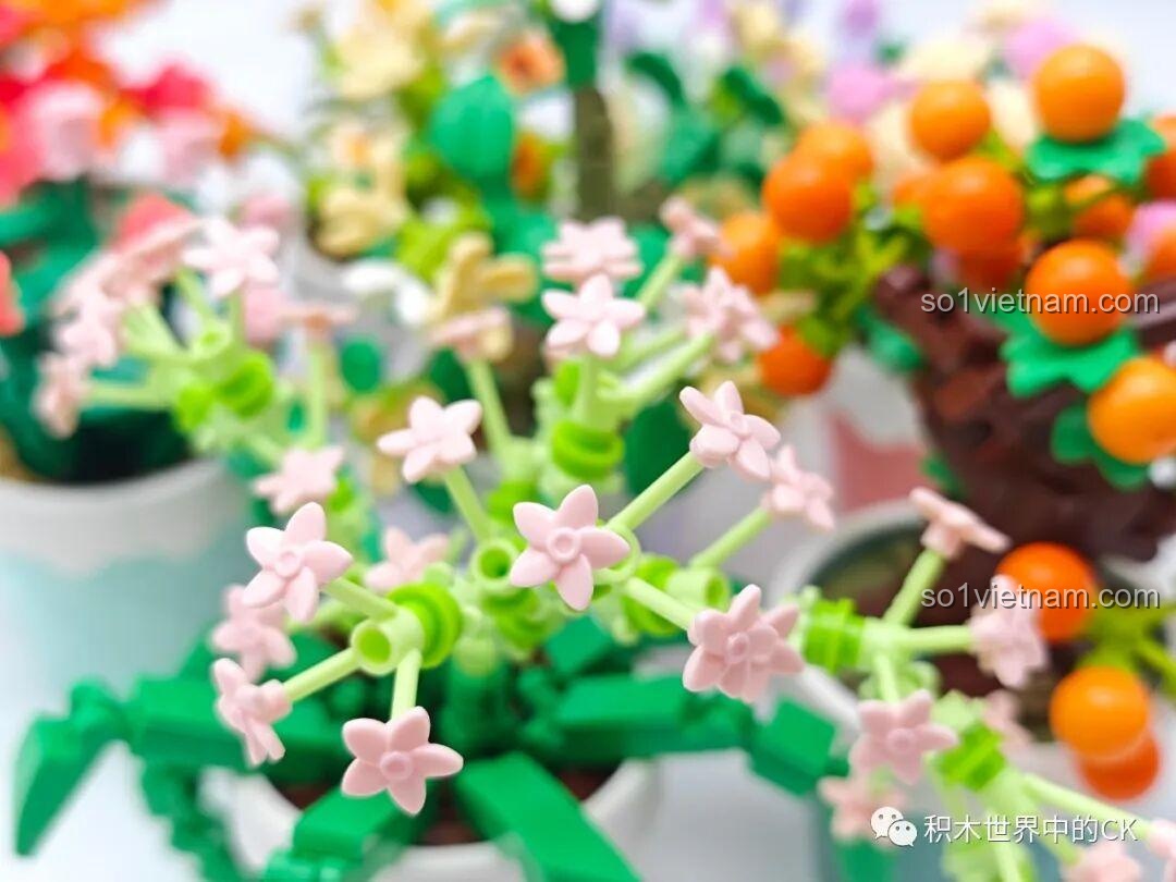 Ảnh chụp cận cảnh những bông hoa lan sao màu hồng nhạt của bộ lắp ghép Sembo, thể hiện sự mong manh và tinh tế.