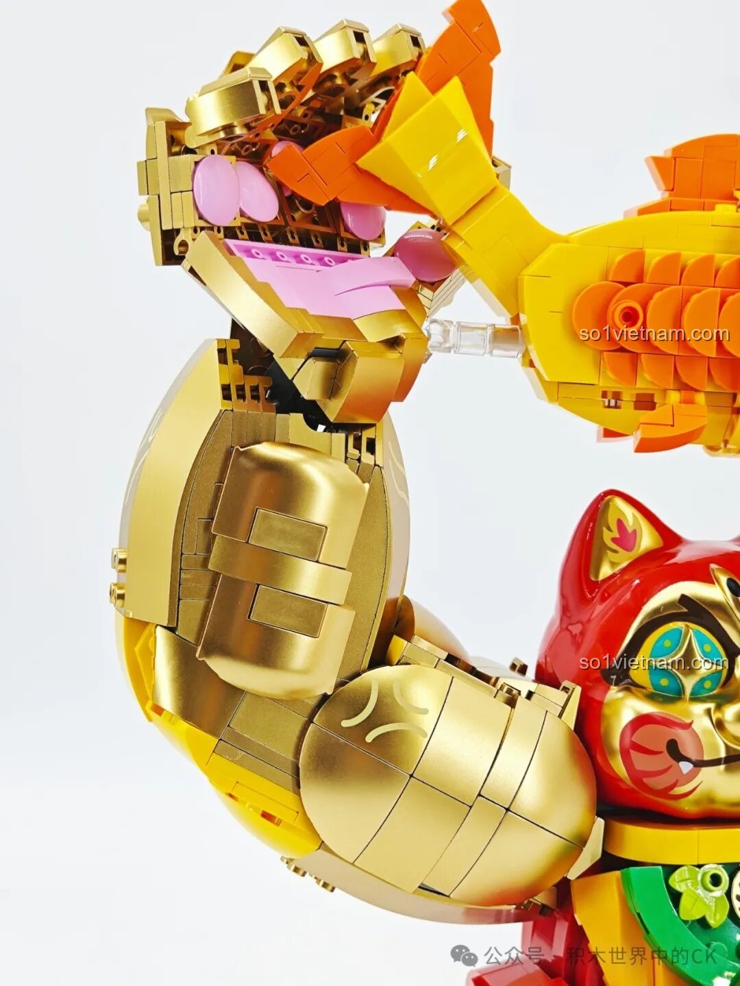 Cận cảnh miệng cá chép của bộ lắp ráp TOP TOY TC1830