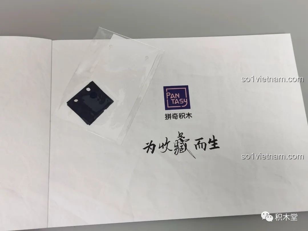 Các chi tiết bằng vải được đính kèm trong sách hướng dẫn của bộ lắp ghép Pantasy 86221.