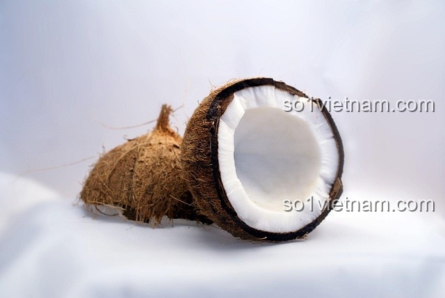 Kẹp Tóc Bí Ngô Coconut 7125