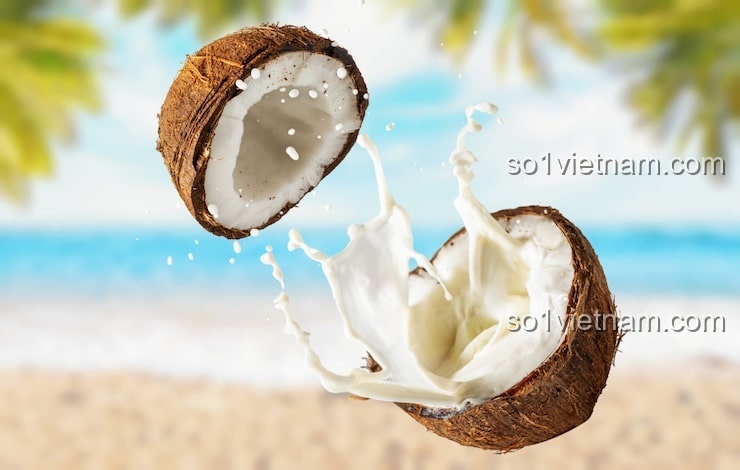 Kẹp Tóc Bí Ngô Coconut 7125