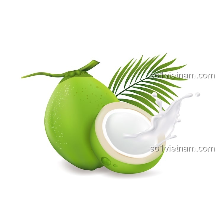 Kẹp Tóc Bí Ngô Coconut 7125