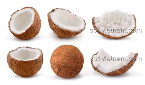 Chi tiết sản phẩm Kẹp Tóc Ma Thuật Coconut 7126 - Bộ lắp ghép sáng tạo, màu trắng, nâu, 3 mảnh