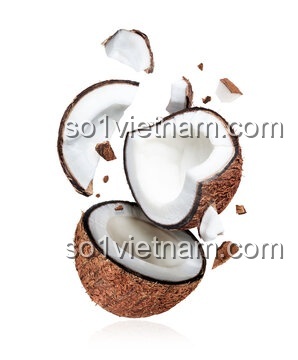 Kẹp Tóc Ma Thuật Coconut 7126 - Lắp ráp sáng tạo cho bé gái, rèn luyện khéo léo