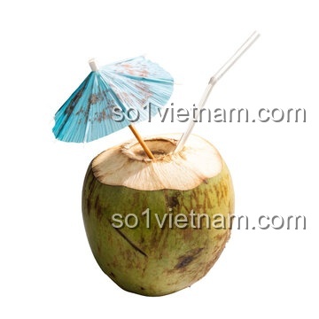 Kẹp Tóc Ma Thuật Coconut 7126 - Màu sắc chủ đạo trắng, nâu, bộ đồ chơi sáng tạo