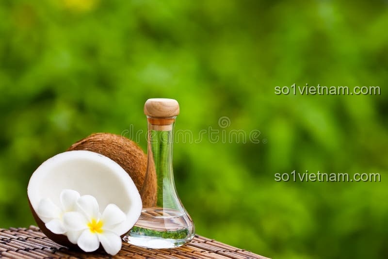 Kẹp Tóc Ma Thuật Coconut 7126 - Món quà ý nghĩa cho bé gái, bộ đồ chơi giáo dục