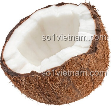 Dừa với ô và ống hút