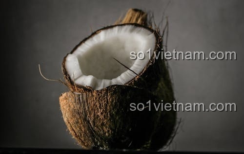 Kẹp tóc Giáng sinh 椰壳Coconut 7128, Phụ kiện tóc Giáng sinh, Đồ trang trí Giáng sinh, Quà tặng Giáng sinh, giá tốt