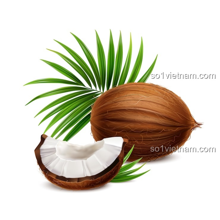 Kẹp Tóc Ngọt Ngào Coconut 7134 bộ lắp ghép, Kẹp tóc, Phụ kiện tóc, Phụ kiện thời trang, Phụ kiện làm đẹp, Phụ kiện cho bé gái, Phụ kiện trang trí tóc, Kẹp Tóc Tinh Xảo, Thiết kế độc đáo, màu sắc tươi sáng, chất liệu an toàn, 3 tuổi, Con gái, giá rẻ