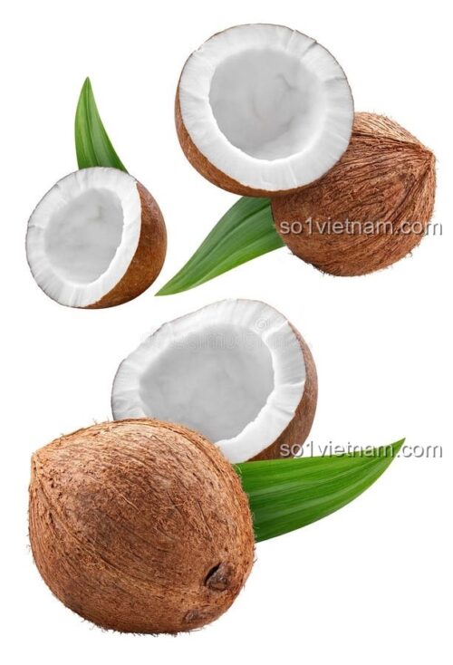Kẹp Tóc Ngọt Ngào Coconut 7134 bộ lắp ghép, Kẹp tóc, Phụ kiện tóc, Phụ kiện thời trang, Phụ kiện làm đẹp, Phụ kiện cho bé gái, Phụ kiện trang trí tóc, Kẹp Tóc Tinh Xảo, Thiết kế độc đáo, màu sắc tươi sáng, chất liệu an toàn, 3 tuổi, Con gái, giá rẻ