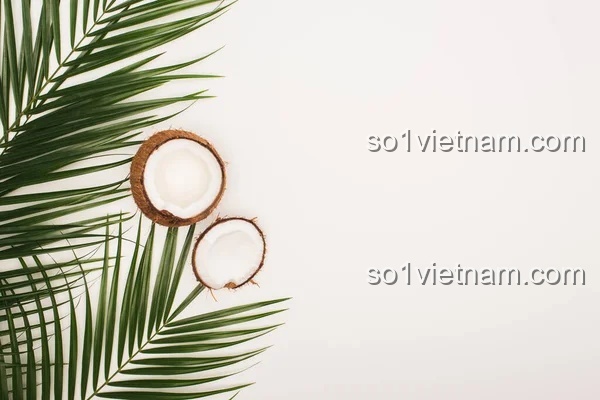Kẹp Tóc Ngọt Ngào Coconut 7134 bộ lắp ghép, Kẹp tóc, Phụ kiện tóc, Phụ kiện thời trang, Phụ kiện làm đẹp, Phụ kiện cho bé gái, Phụ kiện trang trí tóc, Kẹp Tóc Tinh Xảo, Thiết kế độc đáo, màu sắc tươi sáng, chất liệu an toàn, 3 tuổi, Con gái, giá rẻ