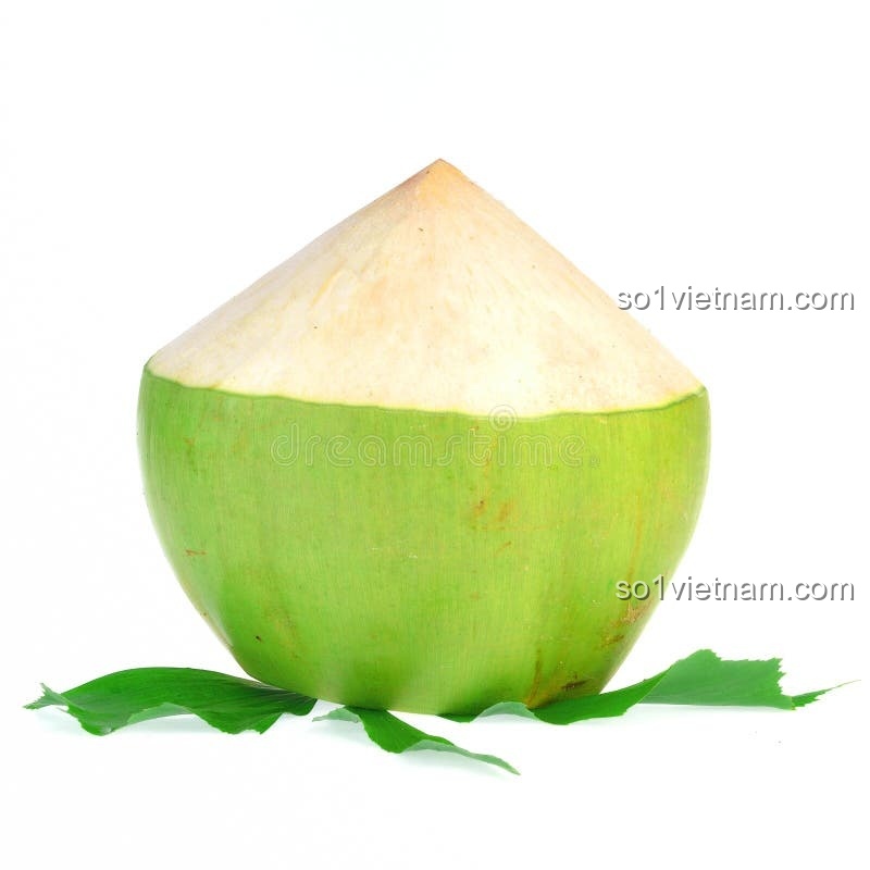 Kẹp Tóc Ngọt Ngào Coconut 7134 bộ lắp ghép, Kẹp tóc, Phụ kiện tóc, Phụ kiện thời trang, Phụ kiện làm đẹp, Phụ kiện cho bé gái, Phụ kiện trang trí tóc, Kẹp Tóc Tinh Xảo, Thiết kế độc đáo, màu sắc tươi sáng, chất liệu an toàn, 3 tuổi, Con gái, giá rẻ